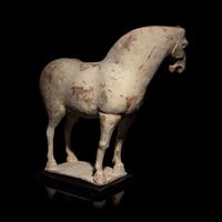 A Chinese Painted Pottery Horse, Tang Dynasty — 唐 白陶馬