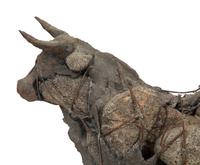 Toro