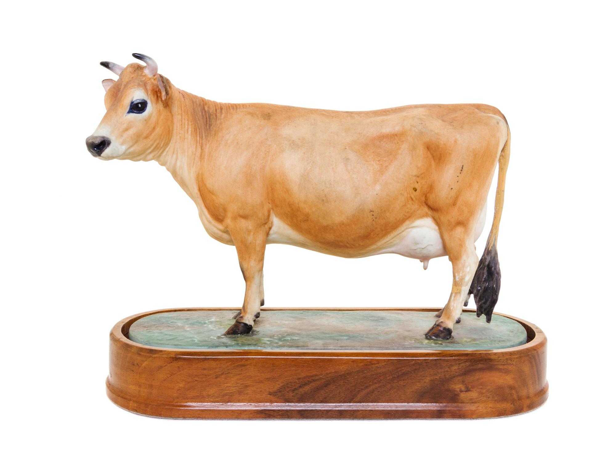 A Royal Worcester Porcelain Model of a Jersey Cow Width 9 1/4 inches. — MODELED BY DORIS LINDNER