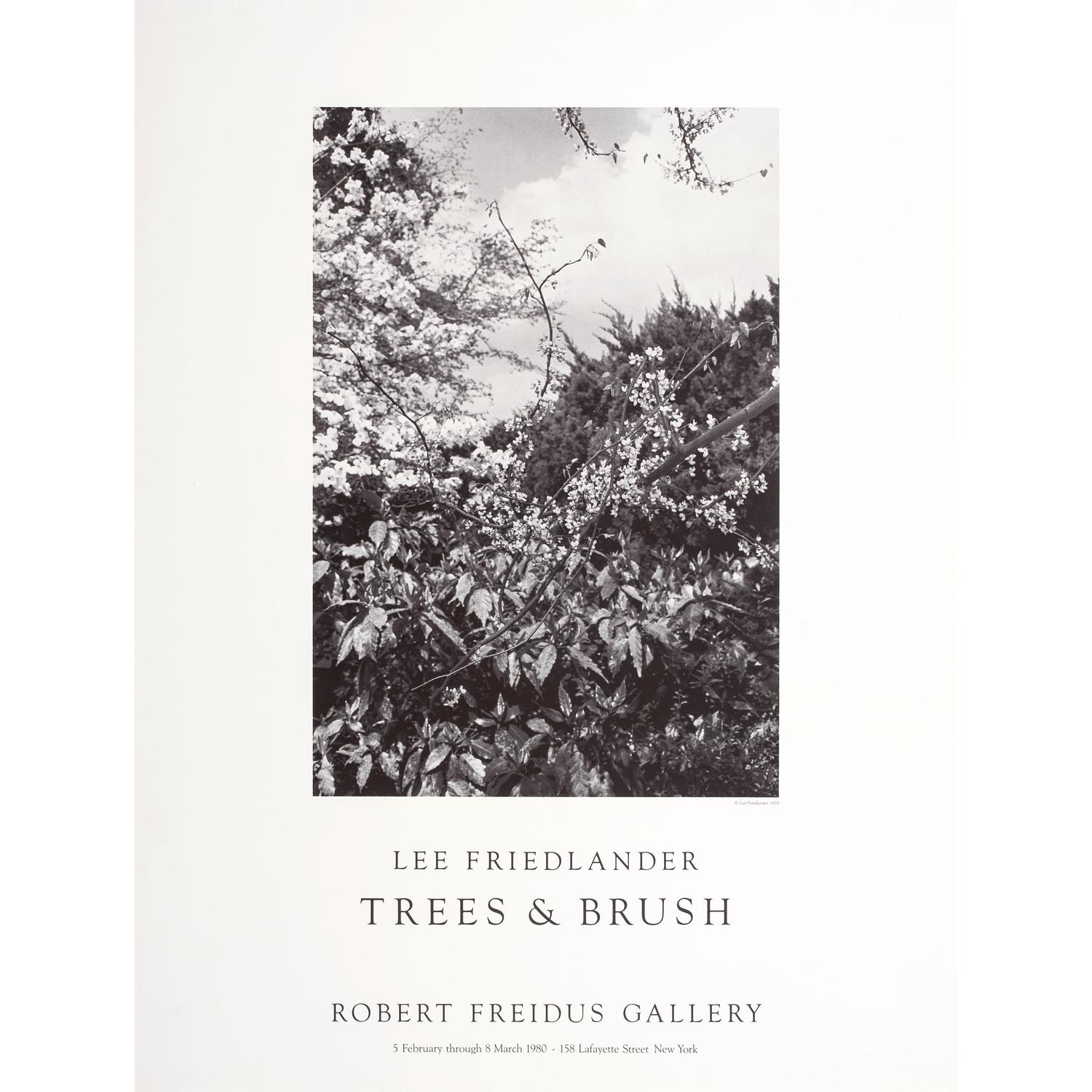 Seven Photography Exhibition Posters