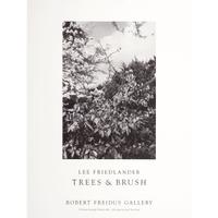 Seven Photography Exhibition Posters