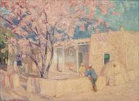 Cherry Blossoms and Adobe