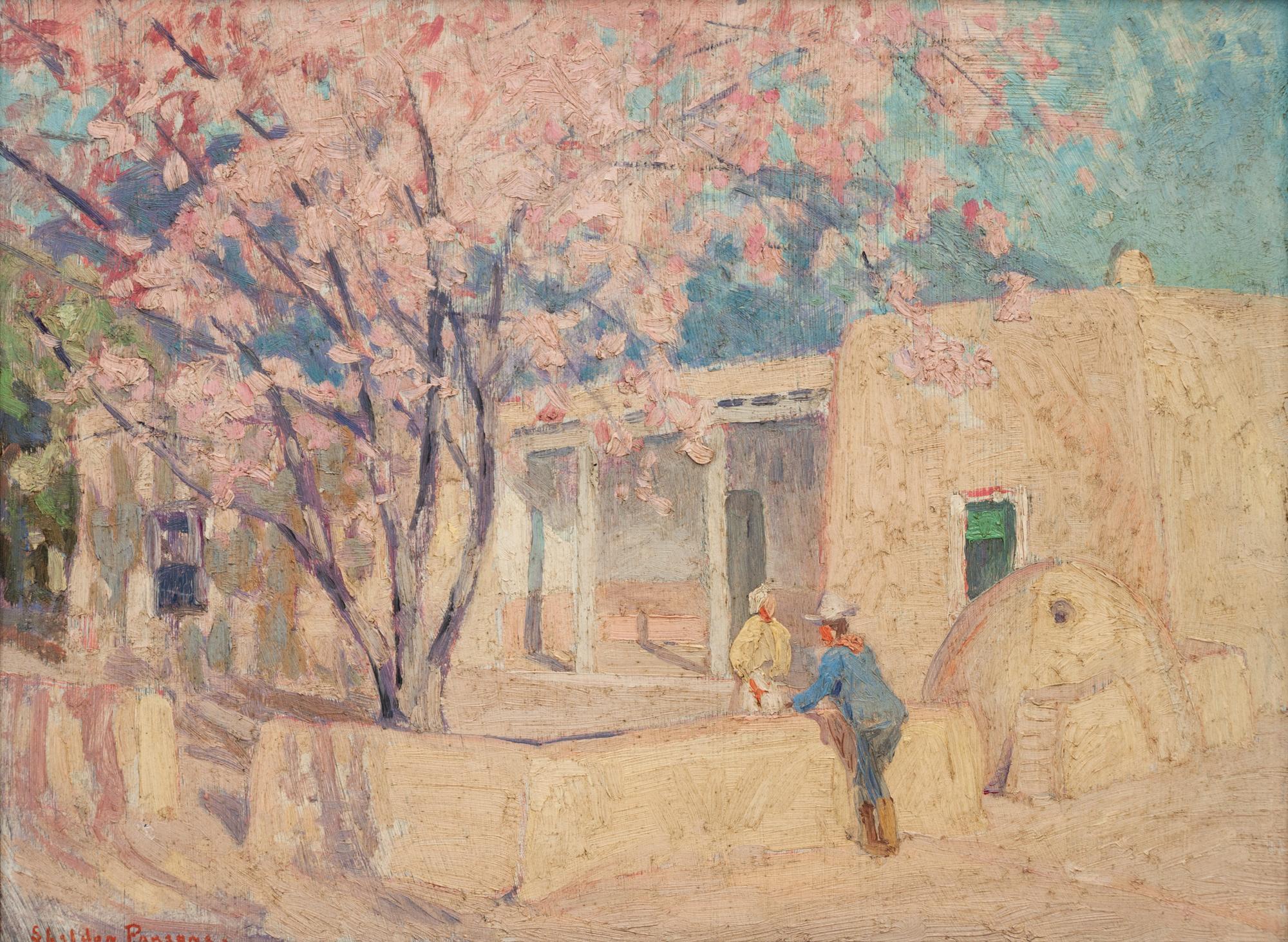 Cherry Blossoms and Adobe