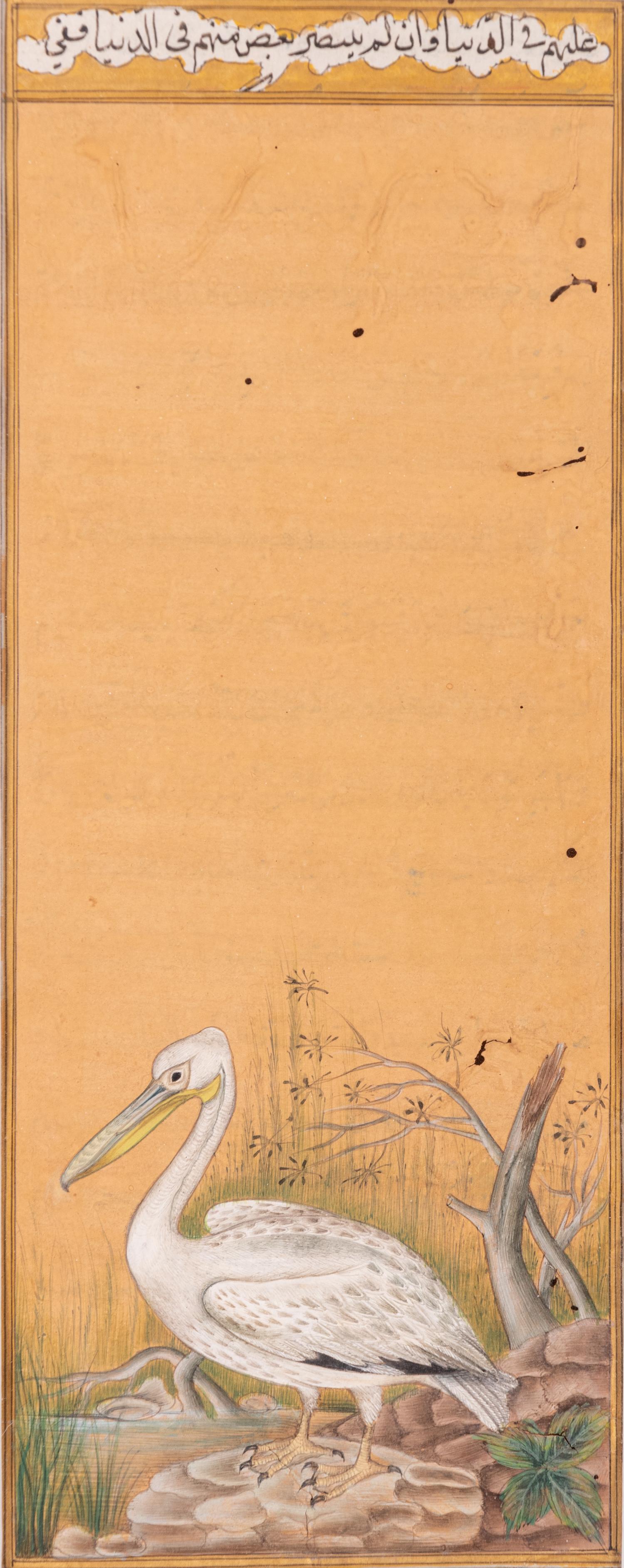 Four Indian and Islamic Miniature Paintings Depicting Birds