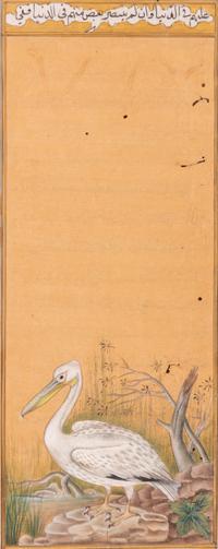 Four Indian and Islamic Miniature Paintings Depicting Birds