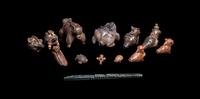 Thirteen Costa Rican and Panamanian Ocharinas (Whistles) and One Stone Instrument