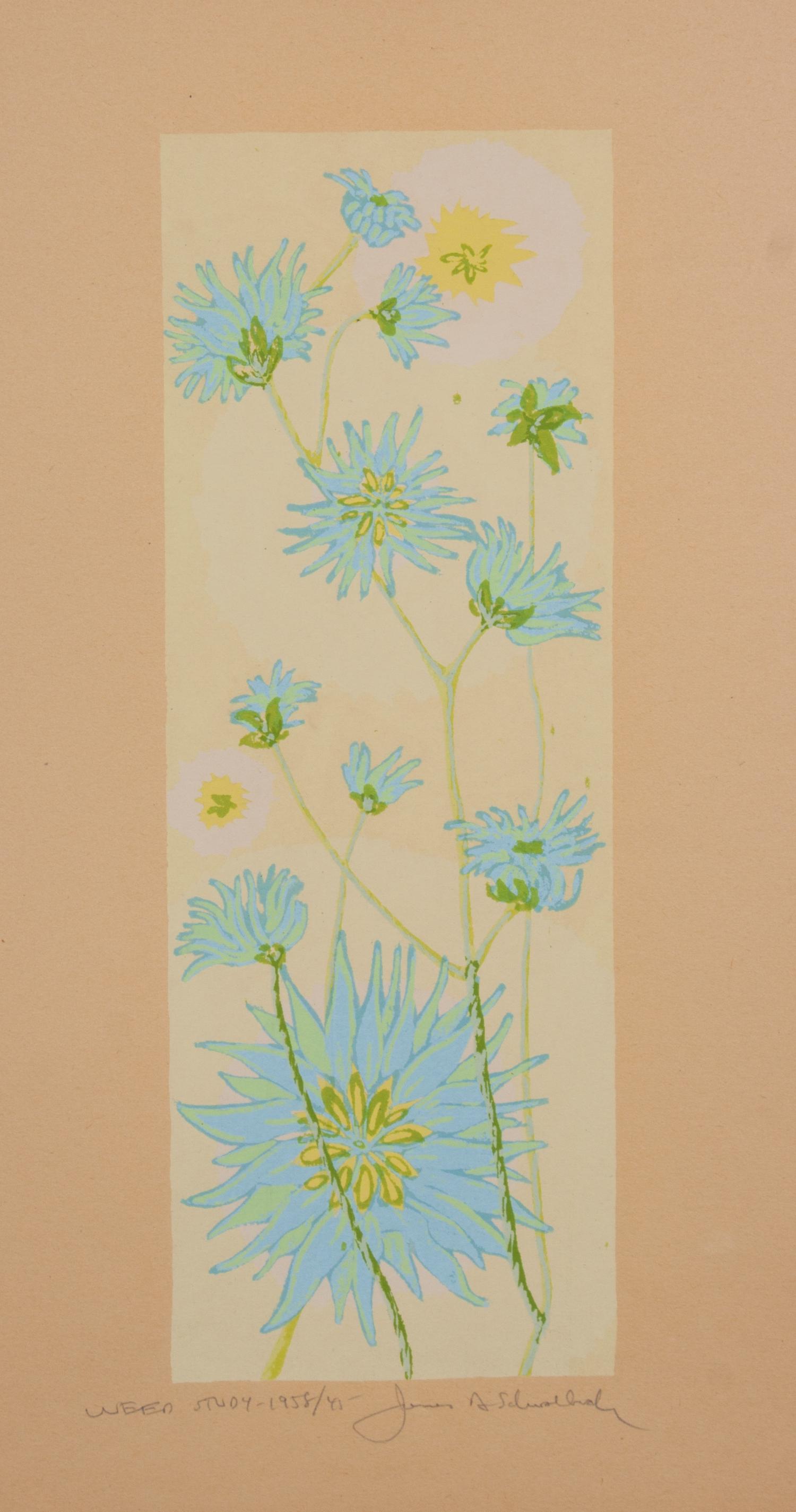 James Schwalbach, (Wisconsin, b. 1912), Weed Study, 1958 (a suite of twelve works)