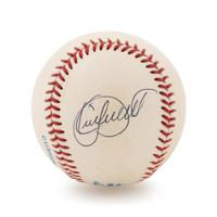 A Group of 20 Signed Hall of Fame Baseballs,