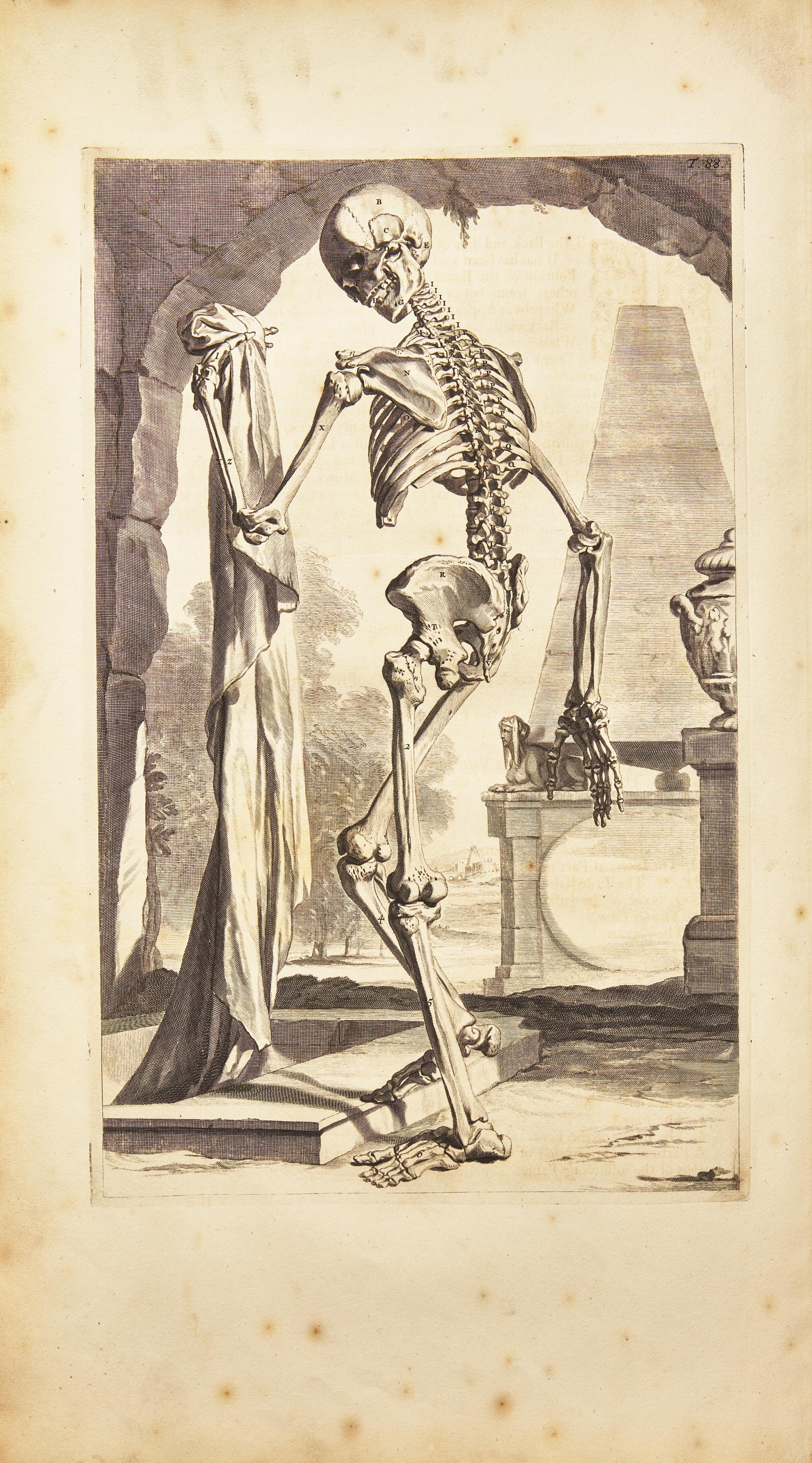 [Science, Medicine & Mathematics] Cowper, William. The Anatomy of Humane Bodies...
