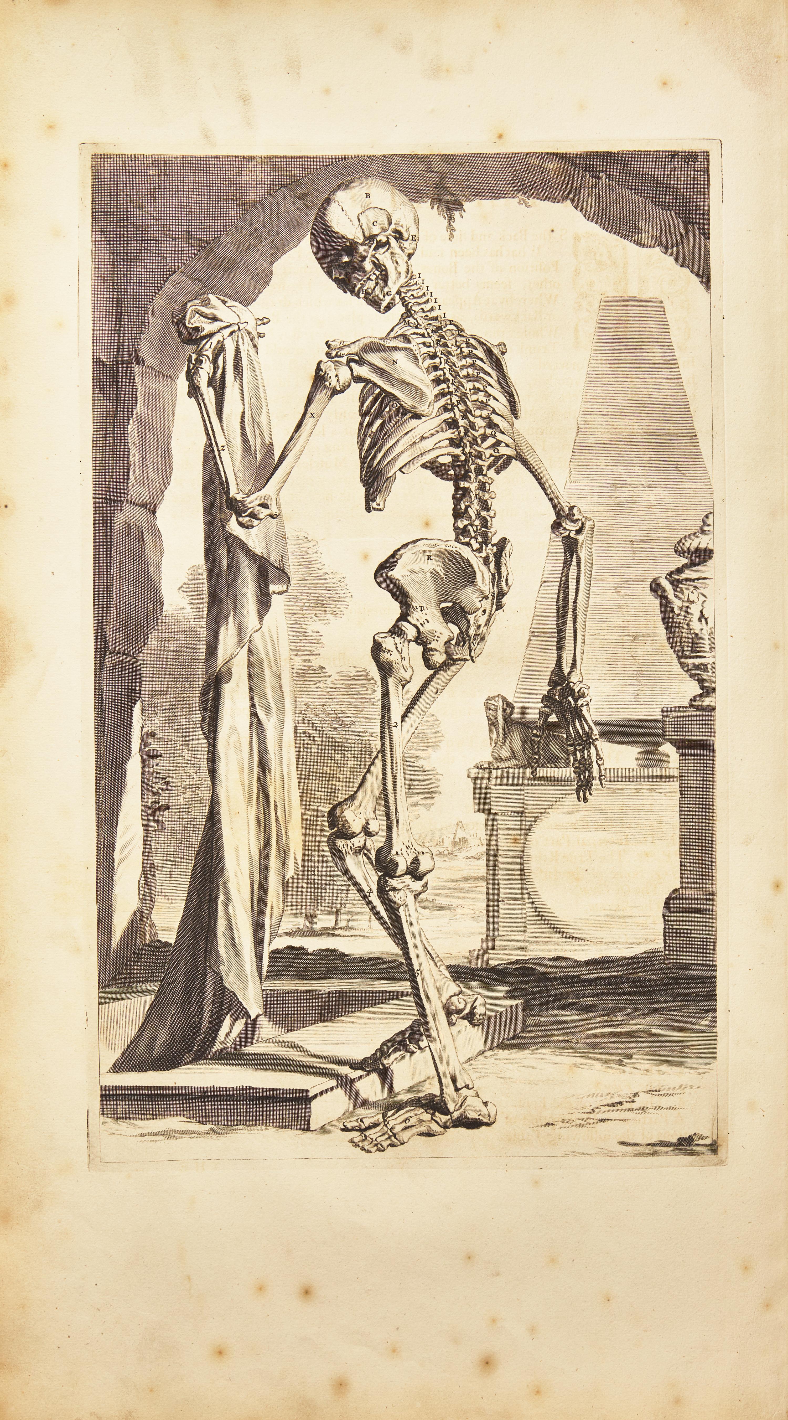 [Science, Medicine & Mathematics] Cowper, William. The Anatomy of Humane Bodies...