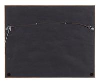 Roping Steer