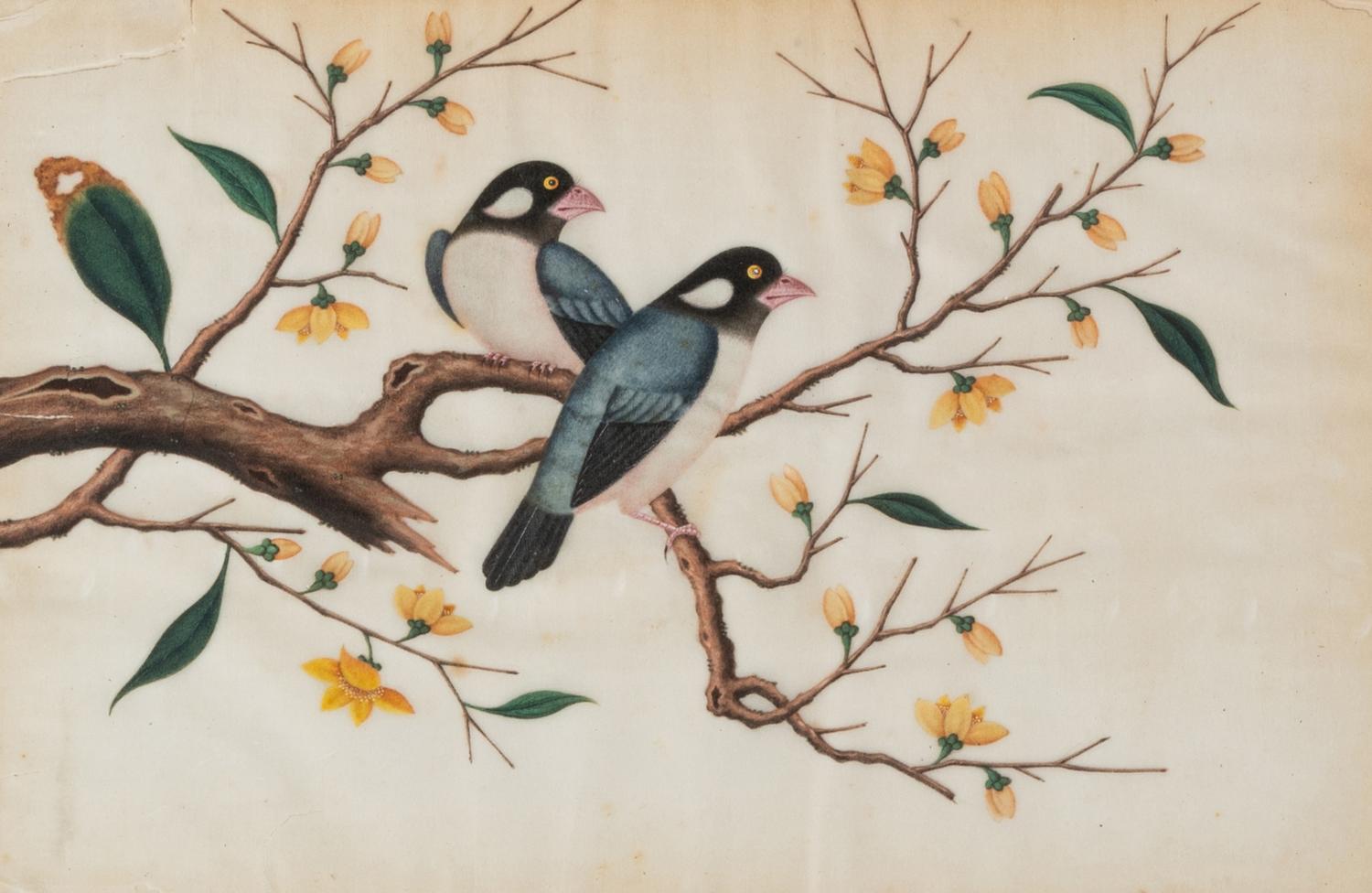 Six Chinese Export Pith Paintings