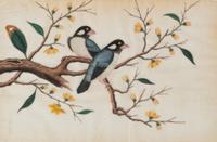 Six Chinese Export Pith Paintings