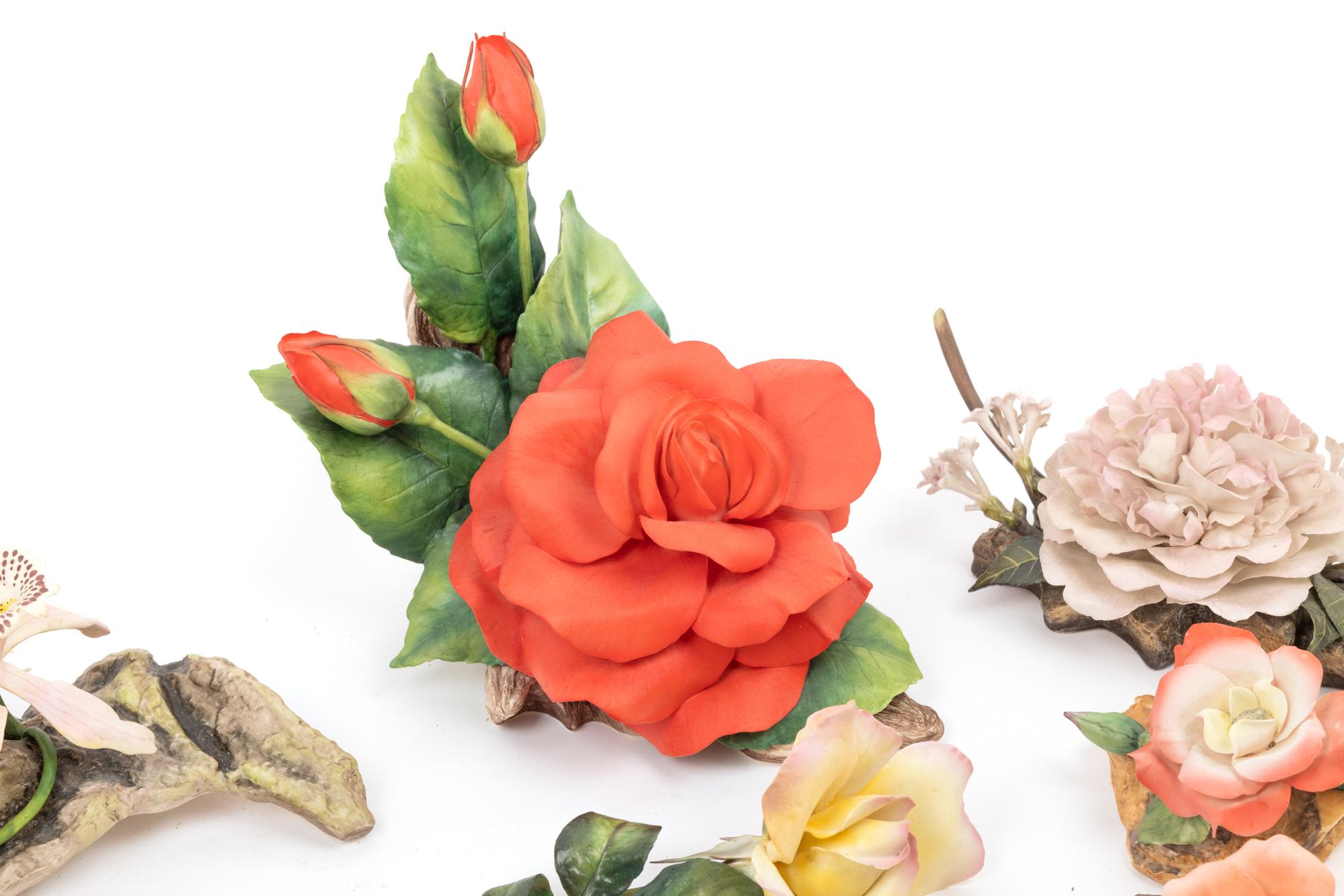 A Collection of Boehm and Royal Worcester Dorothy Doughty Porcelain Flowers