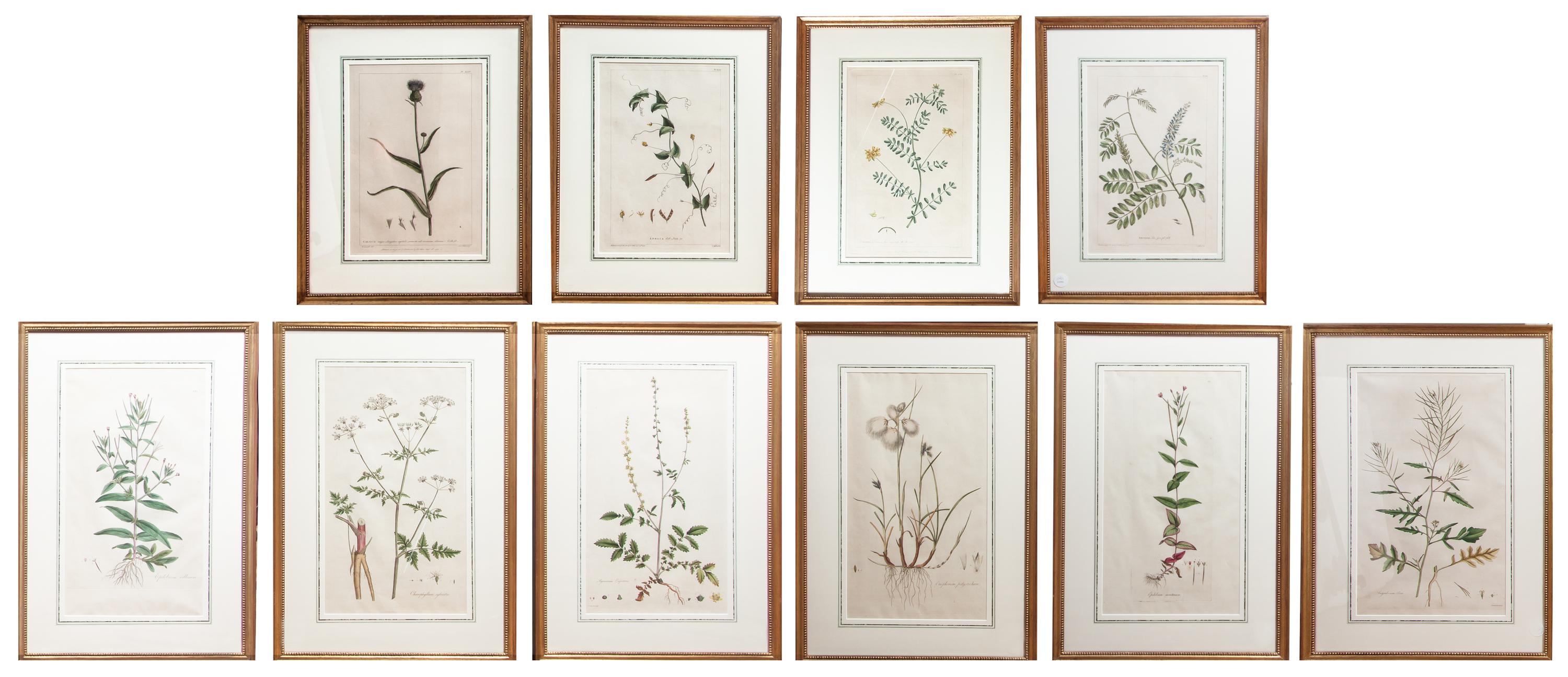 A Set of Ten Botanical Prints, Height 17 3/4 x width 10 inches.