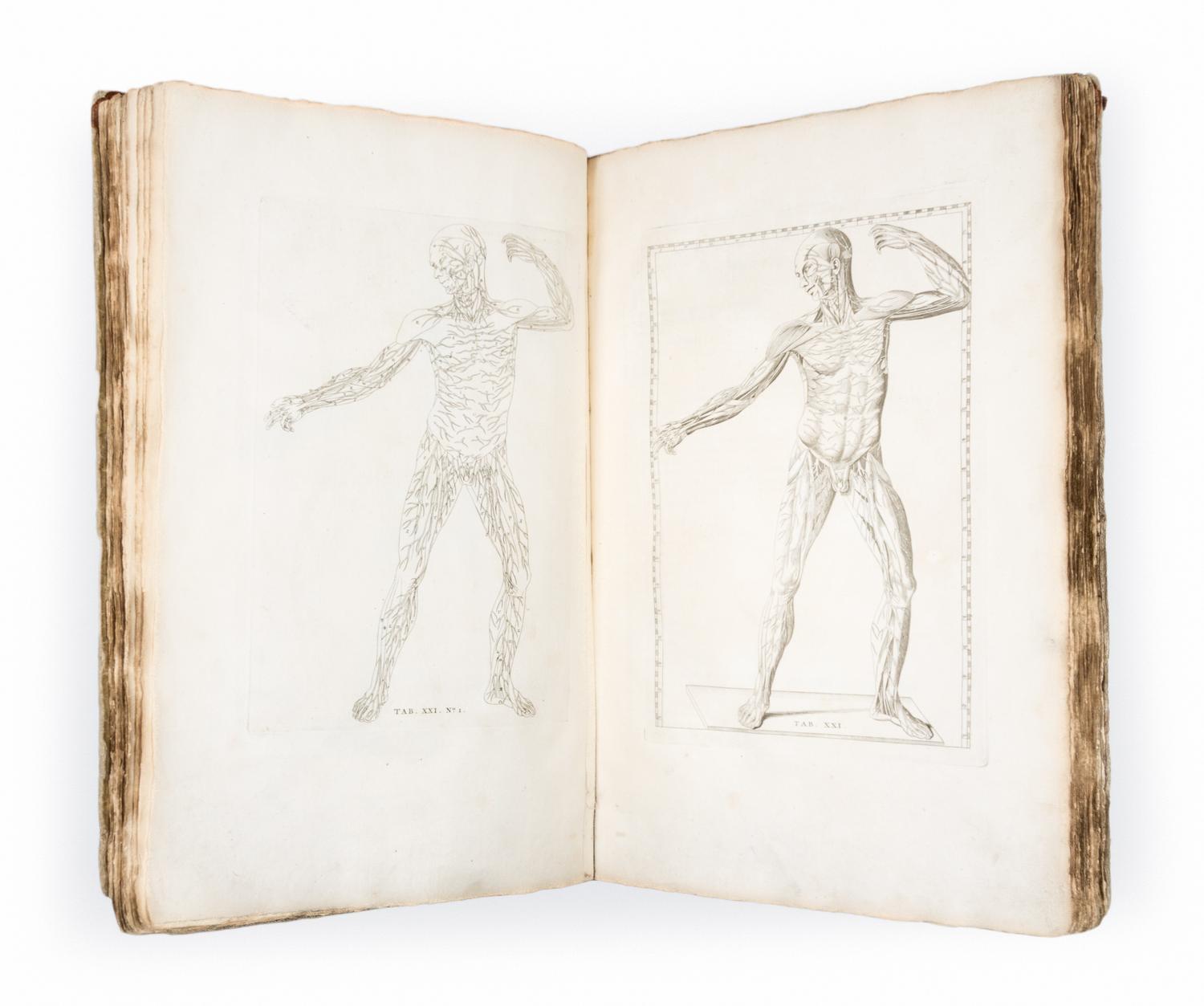 (ANATOMY) EUSTACHI, BARTOLOMEO and BERNHARD ALBINUS. Bernardi Siegfried Albini...Leiden, 1761. Second edition.