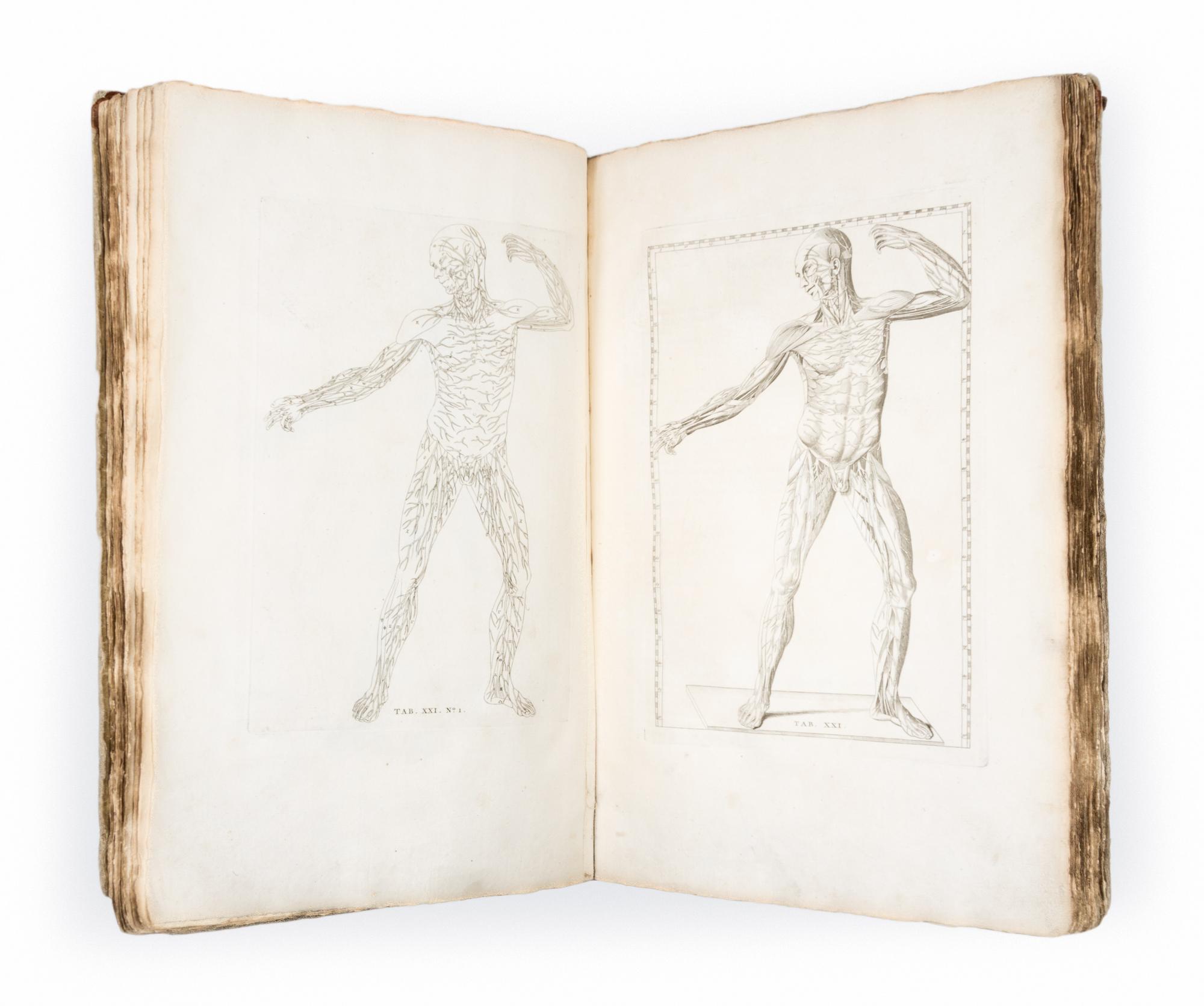 (ANATOMY) EUSTACHI, BARTOLOMEO and BERNHARD ALBINUS. Bernardi Siegfried Albini...Leiden, 1761. Second edition.