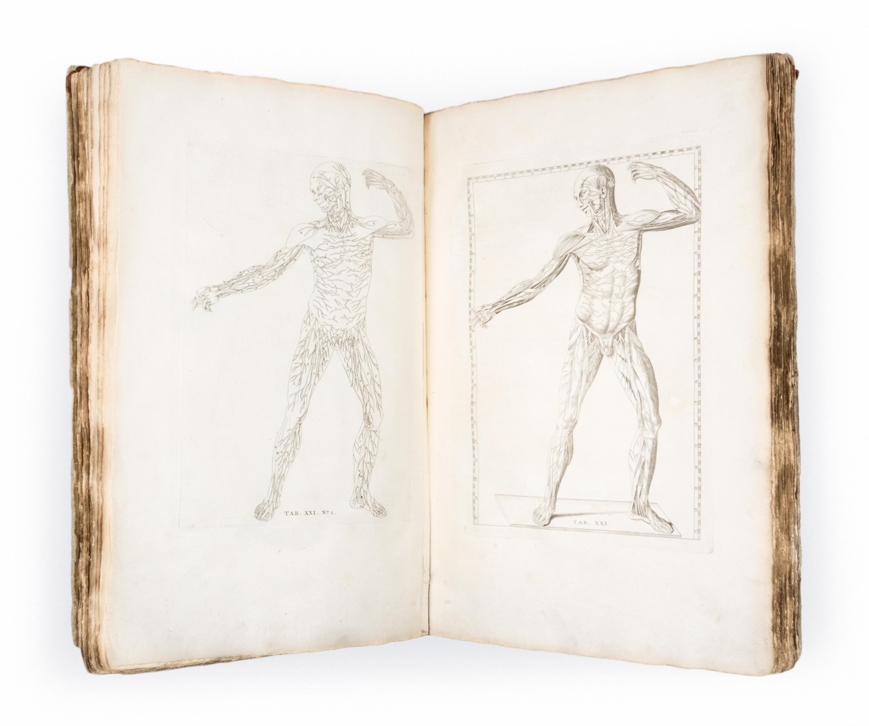 (ANATOMY) EUSTACHI, BARTOLOMEO and BERNHARD ALBINUS. Bernardi Siegfried Albini...Leiden, 1761. Second edition.