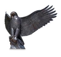 American Eagle , edition 5/5