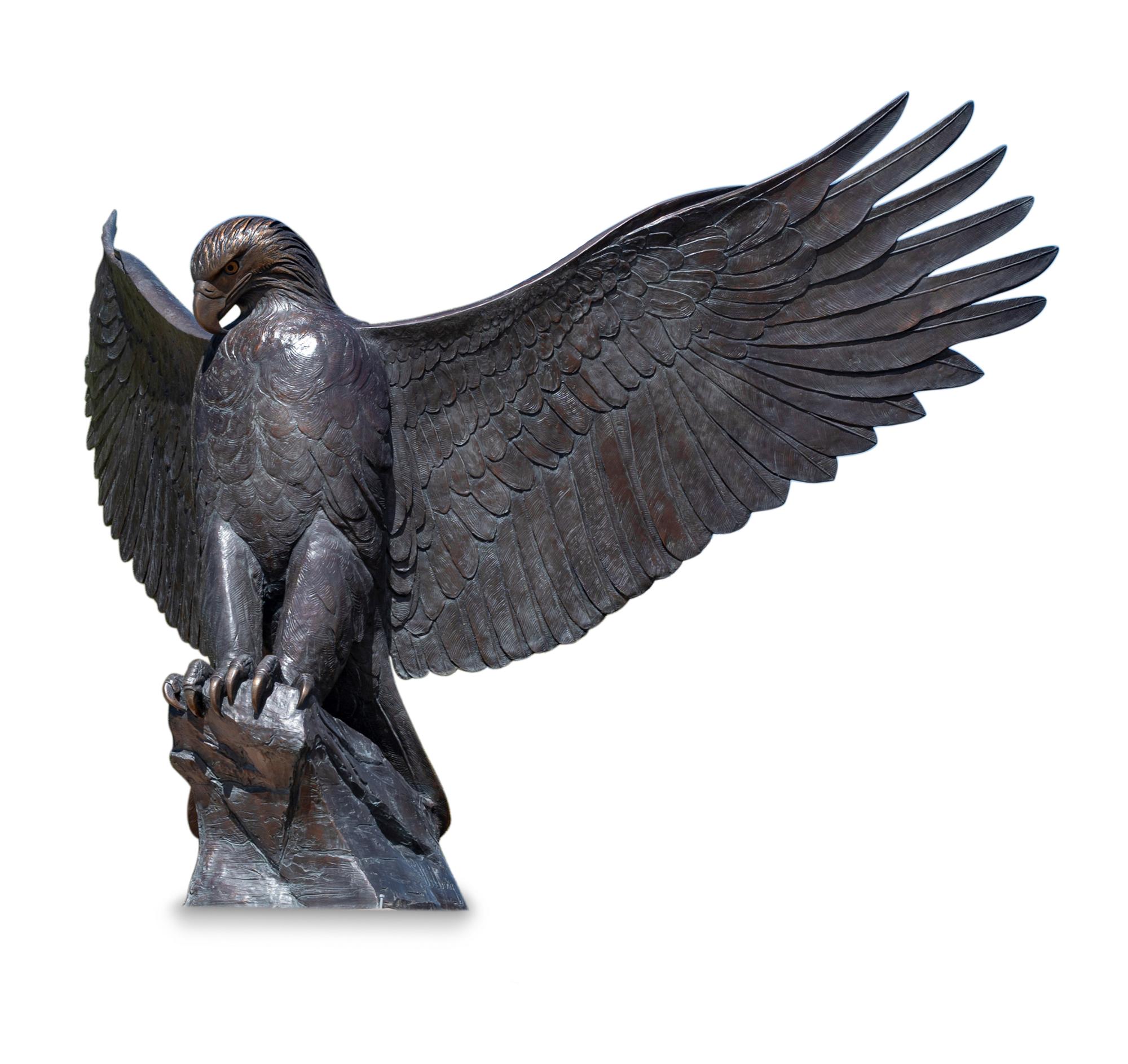 American Eagle , edition 5/5