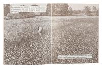 [AGRICULTURE]. VARELA, Mary E. Something of Our Own . Jackson, MS: H.J.K. Publishing Co., 1965.