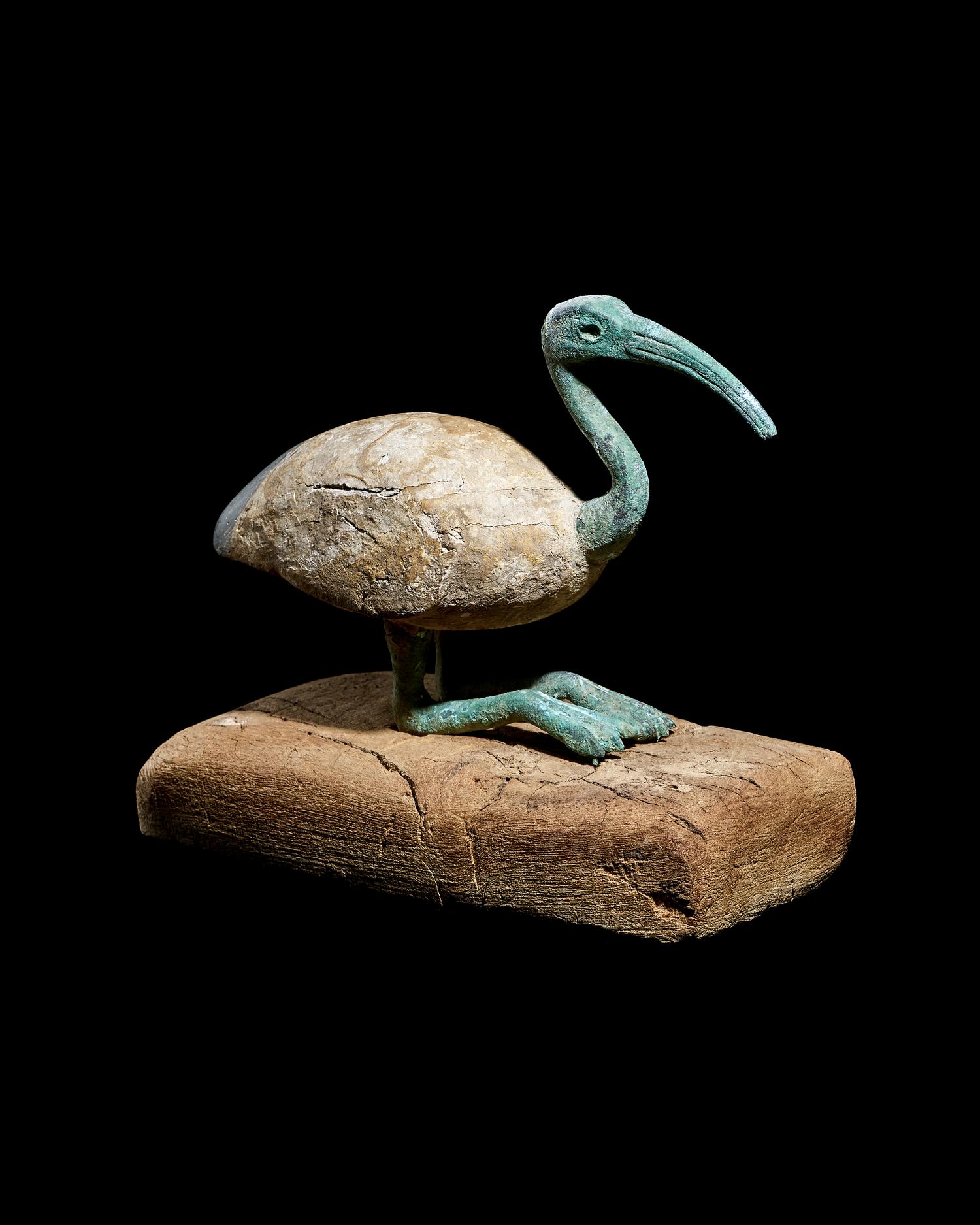 An Egyptian Wood and Bronze Ibis