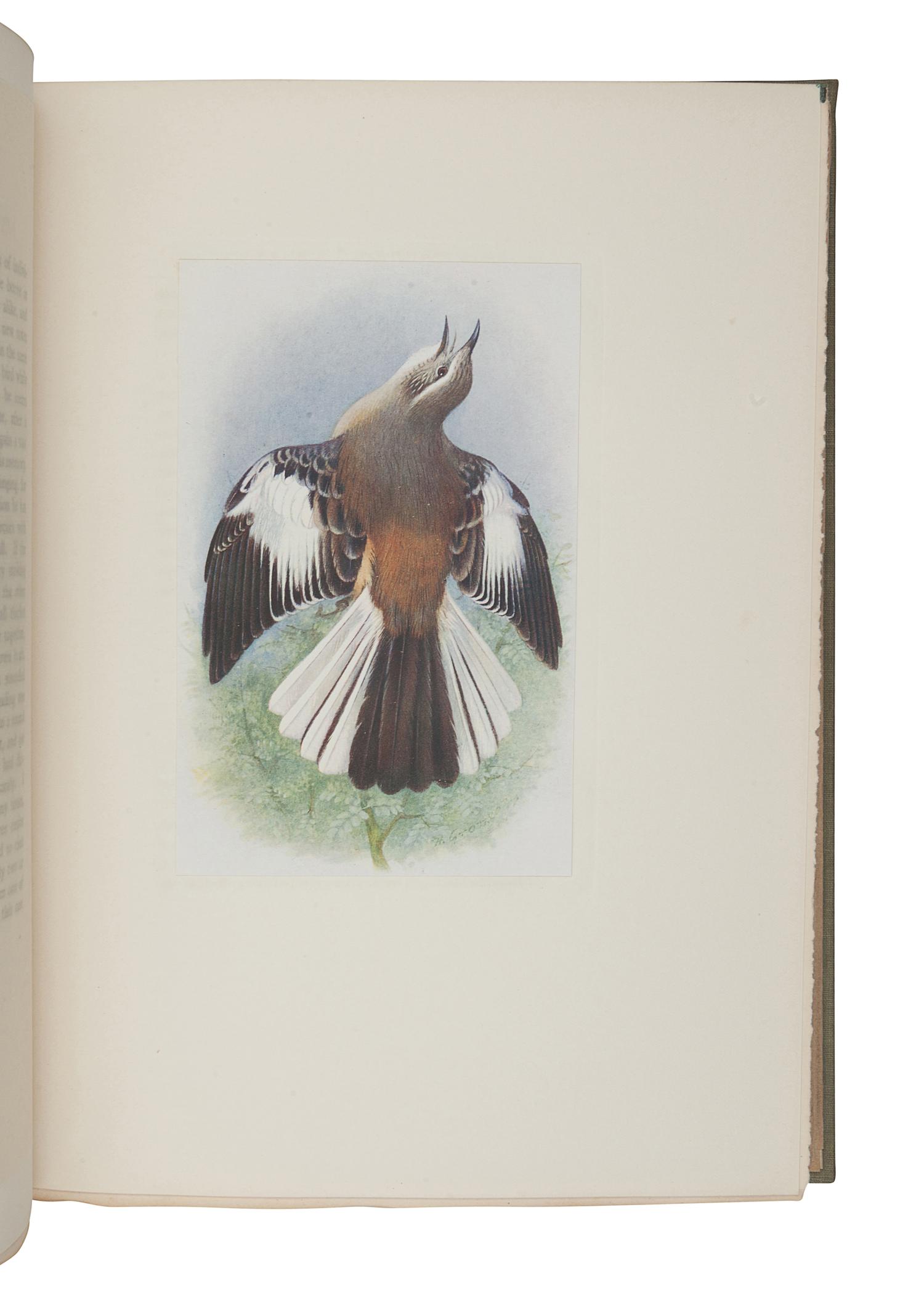 HUDSON, William Henry (1841-1922). The Birds of La Plata . London, Toronto, and New York: J.M. Dent & Sons and E.P. Dutton & Co., 1920.