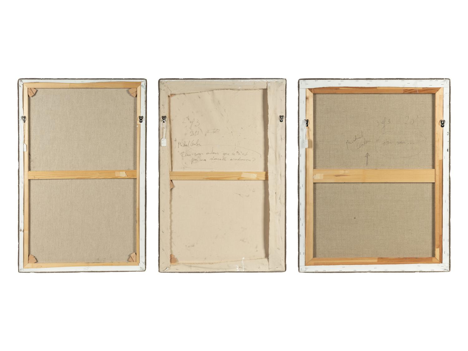 Etes-vous certain que ce n'est pas une nouvelle academisme? , 2013 (triptych)