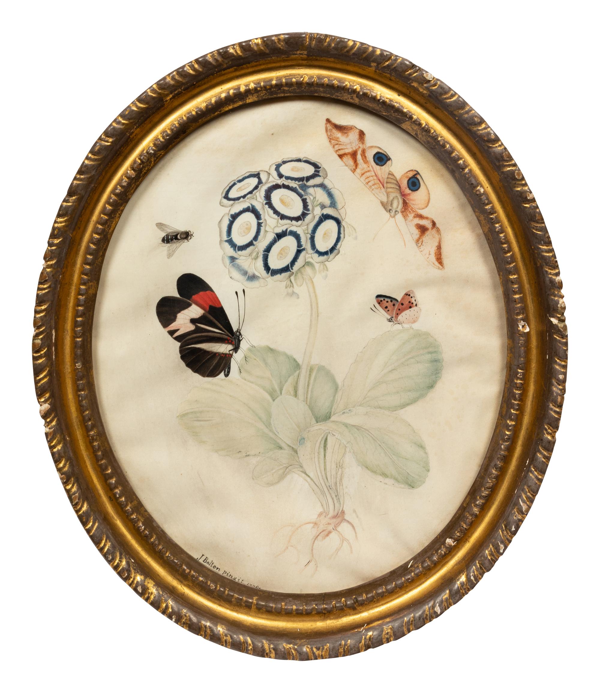 James Bolton (British, c. 1740-1799)