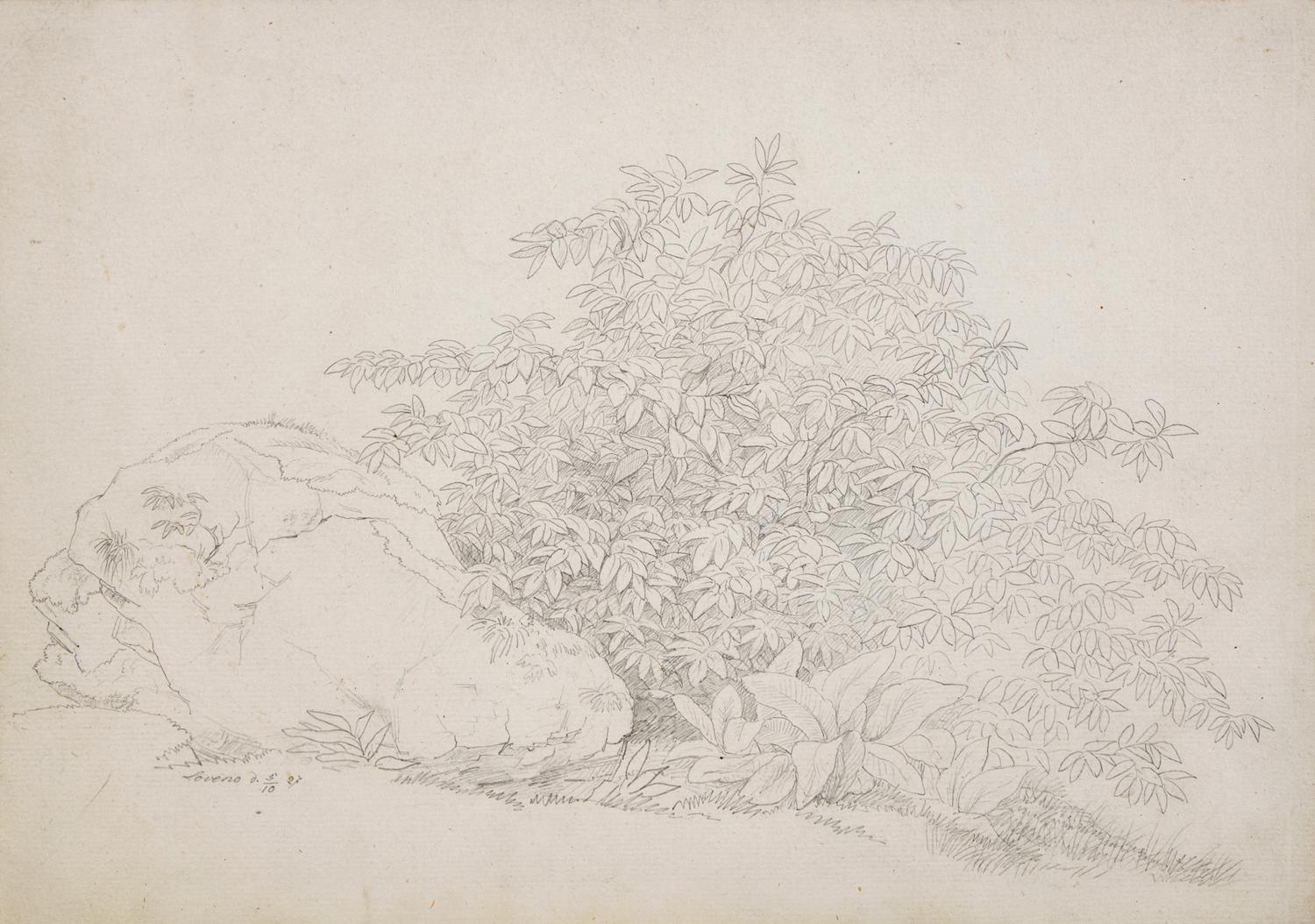 Plant Study with Boulder in Lovere and Landscape in Lovere (two works)