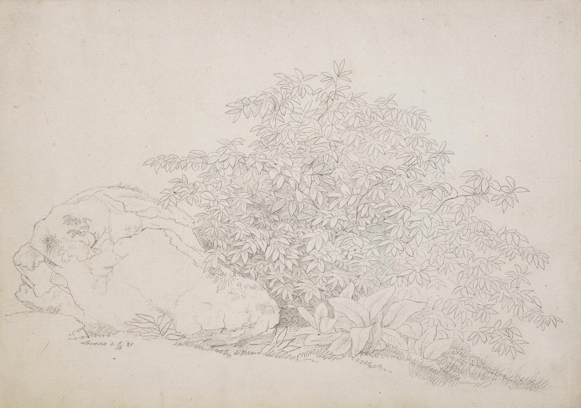 Plant Study with Boulder in Lovere and Landscape in Lovere (two works)