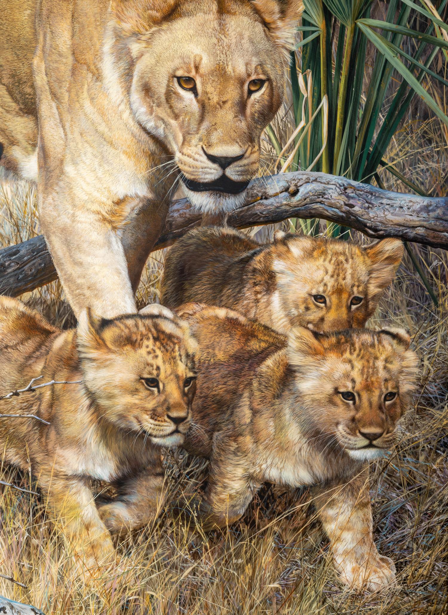 On a Journey - Lioness and Cubs