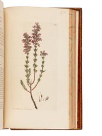 [Natural History] Sowerby, James. English Botany; or, Coloured Figures of British Plants ...