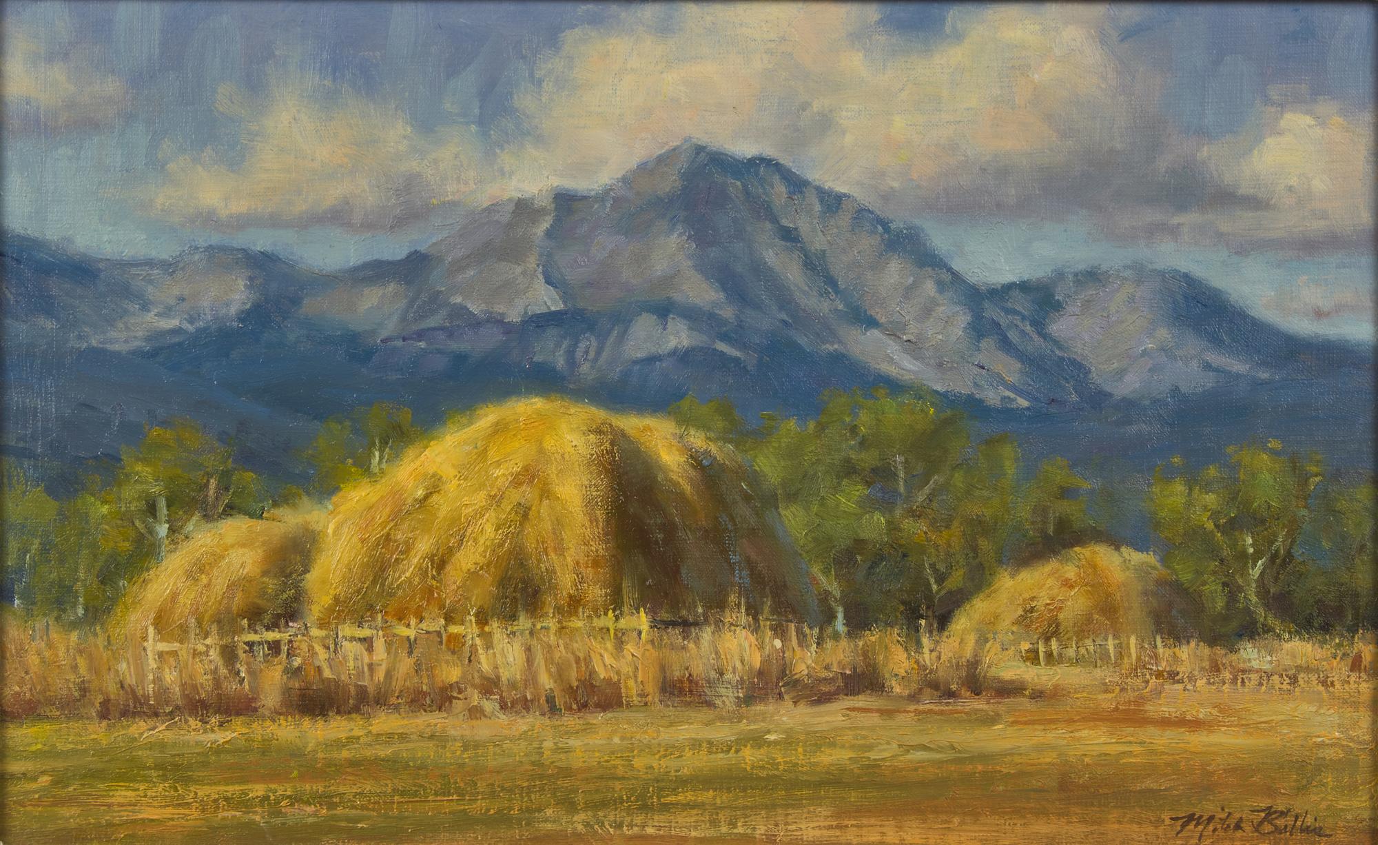 Big Hole Hay Stacks