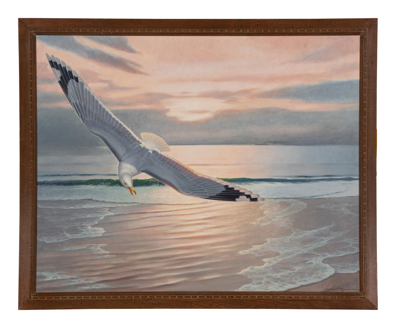 Sea Gull