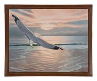 Sea Gull