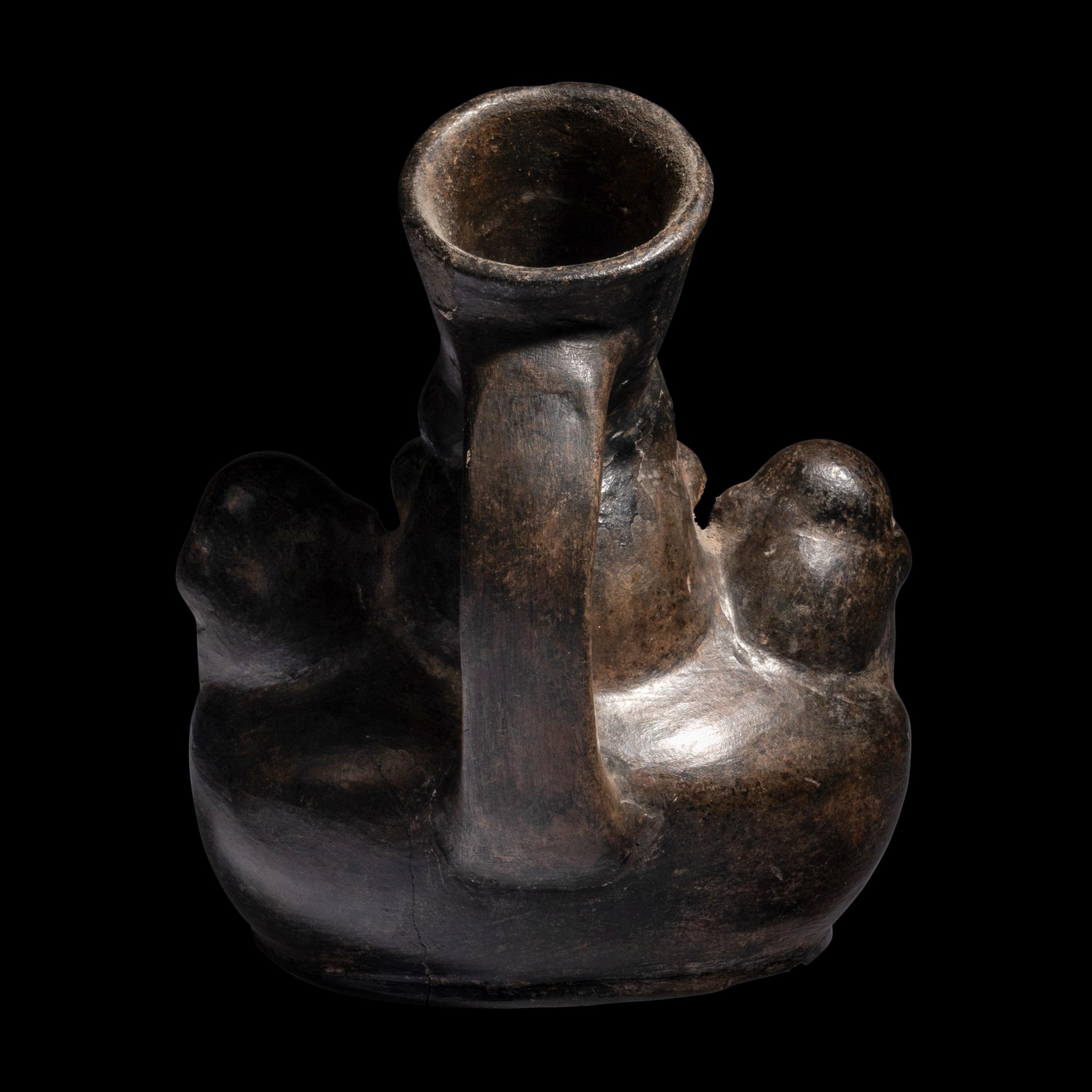A Chimu Blackware Vessel