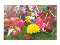 Garden² (complete portfolio of 8), 2000