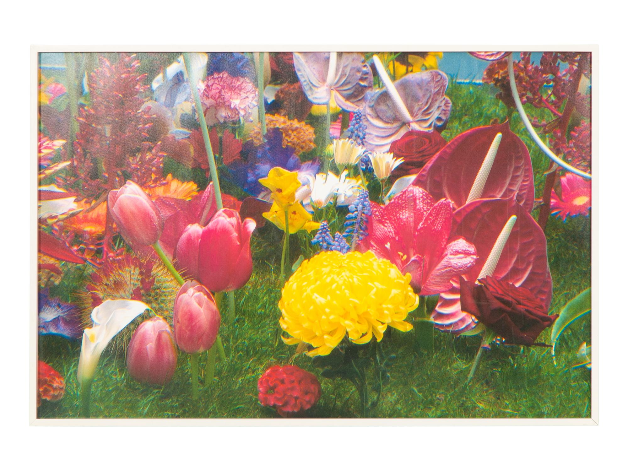 Garden² (complete portfolio of 8), 2000