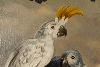 After Jakob Bogdani (Hungarian, 1658-1724)
