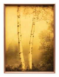 Two Joyce Tenneson Photographs