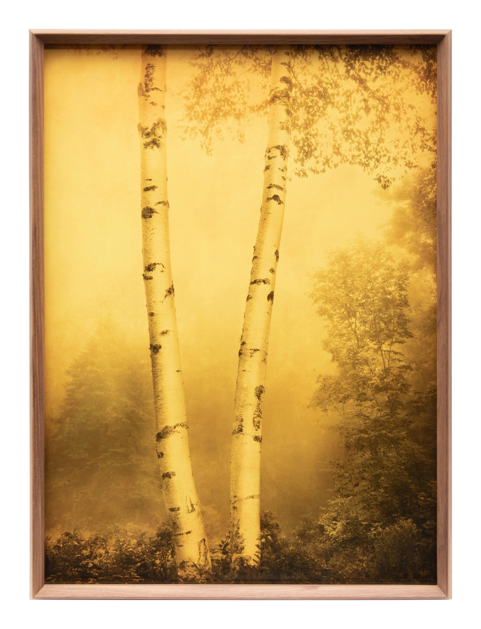 Two Joyce Tenneson Photographs