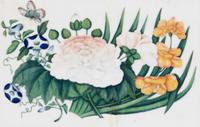 A Set of Twelve Chinese Export Watercolor and Pith Botanical Paintings