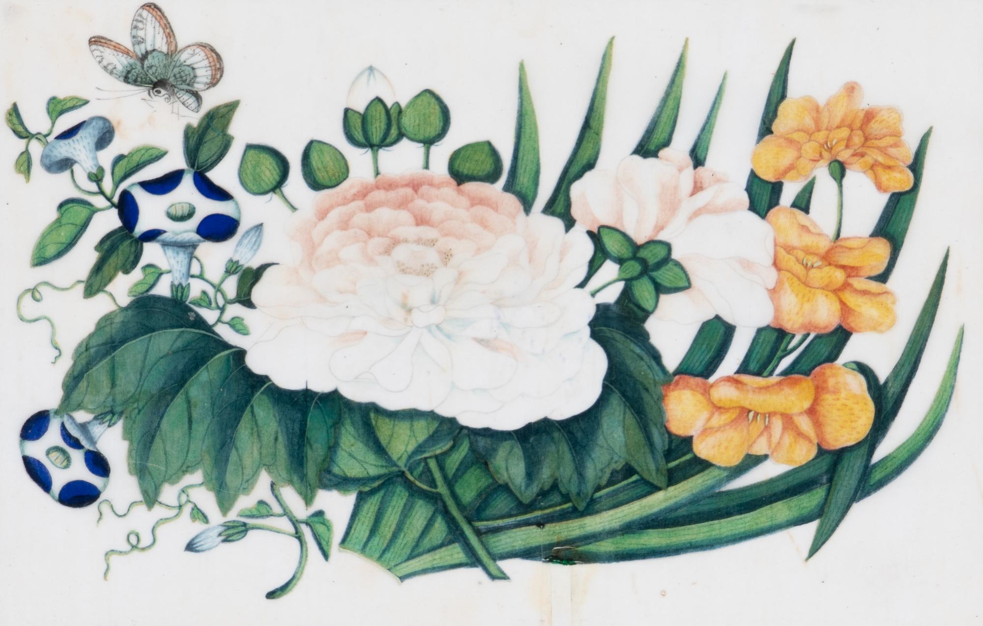A Set of Twelve Chinese Export Watercolor and Pith Botanical Paintings