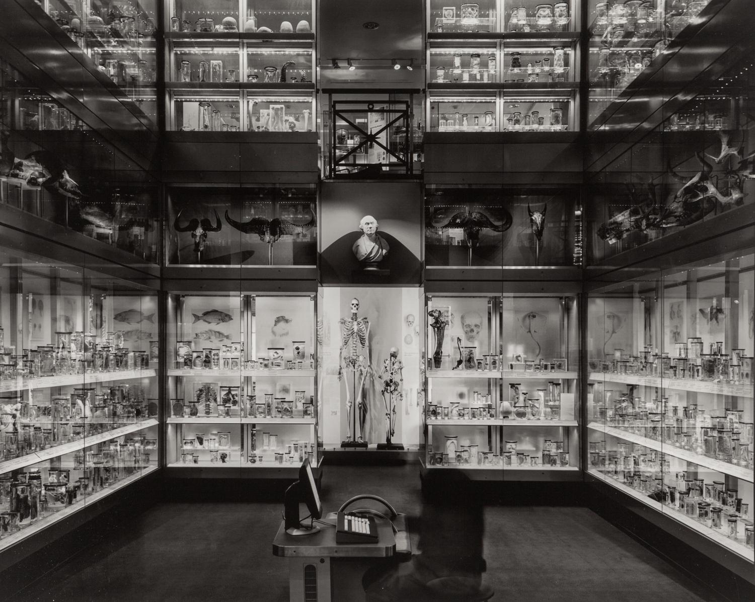Crystal Gallery, Hunterian Museum, London