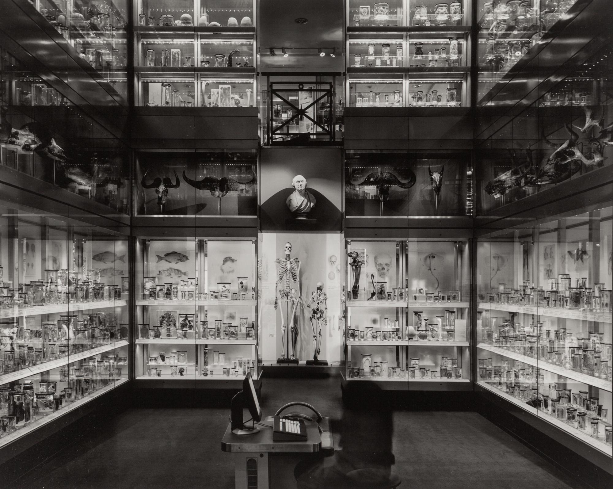Crystal Gallery, Hunterian Museum, London