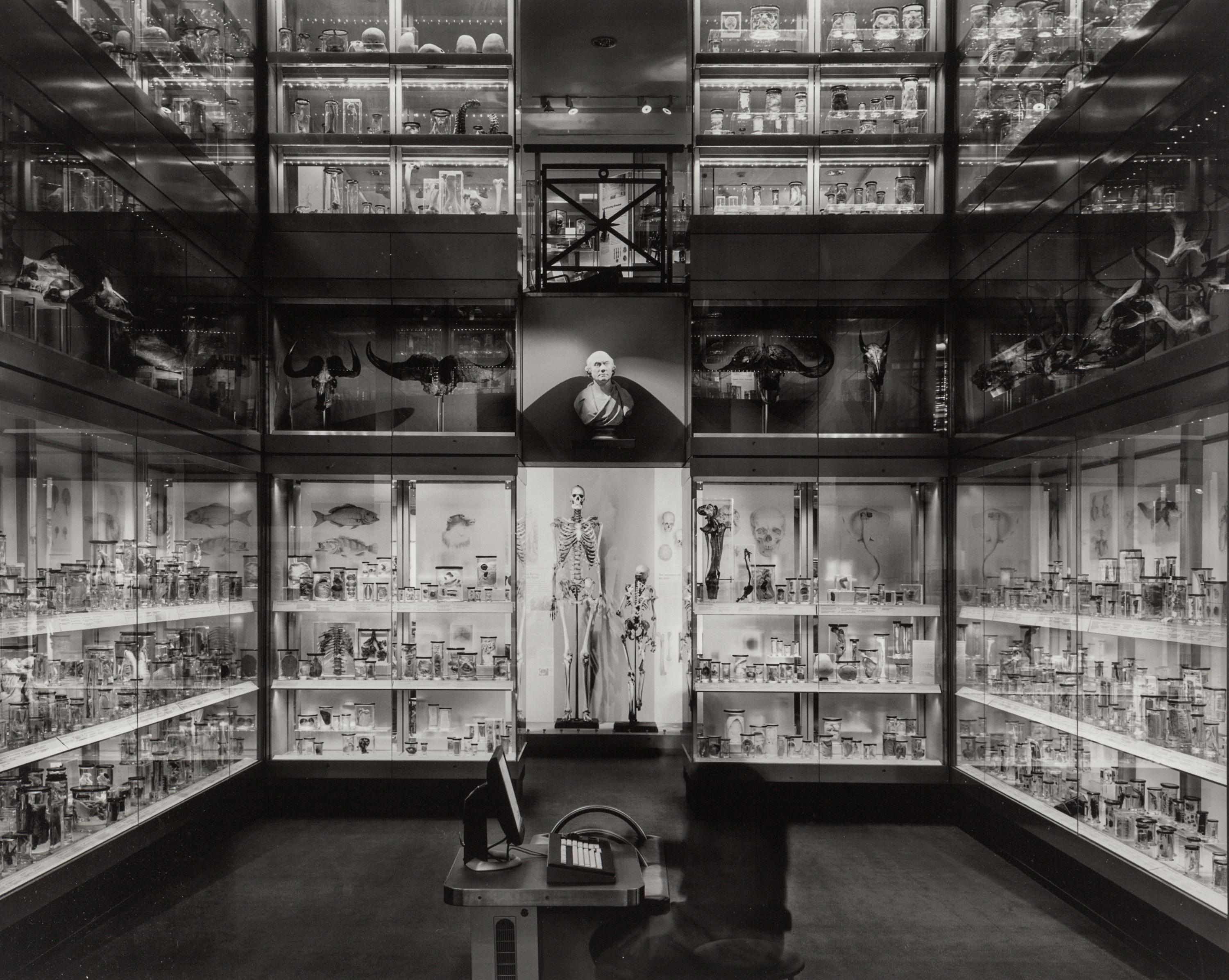 Crystal Gallery, Hunterian Museum, London