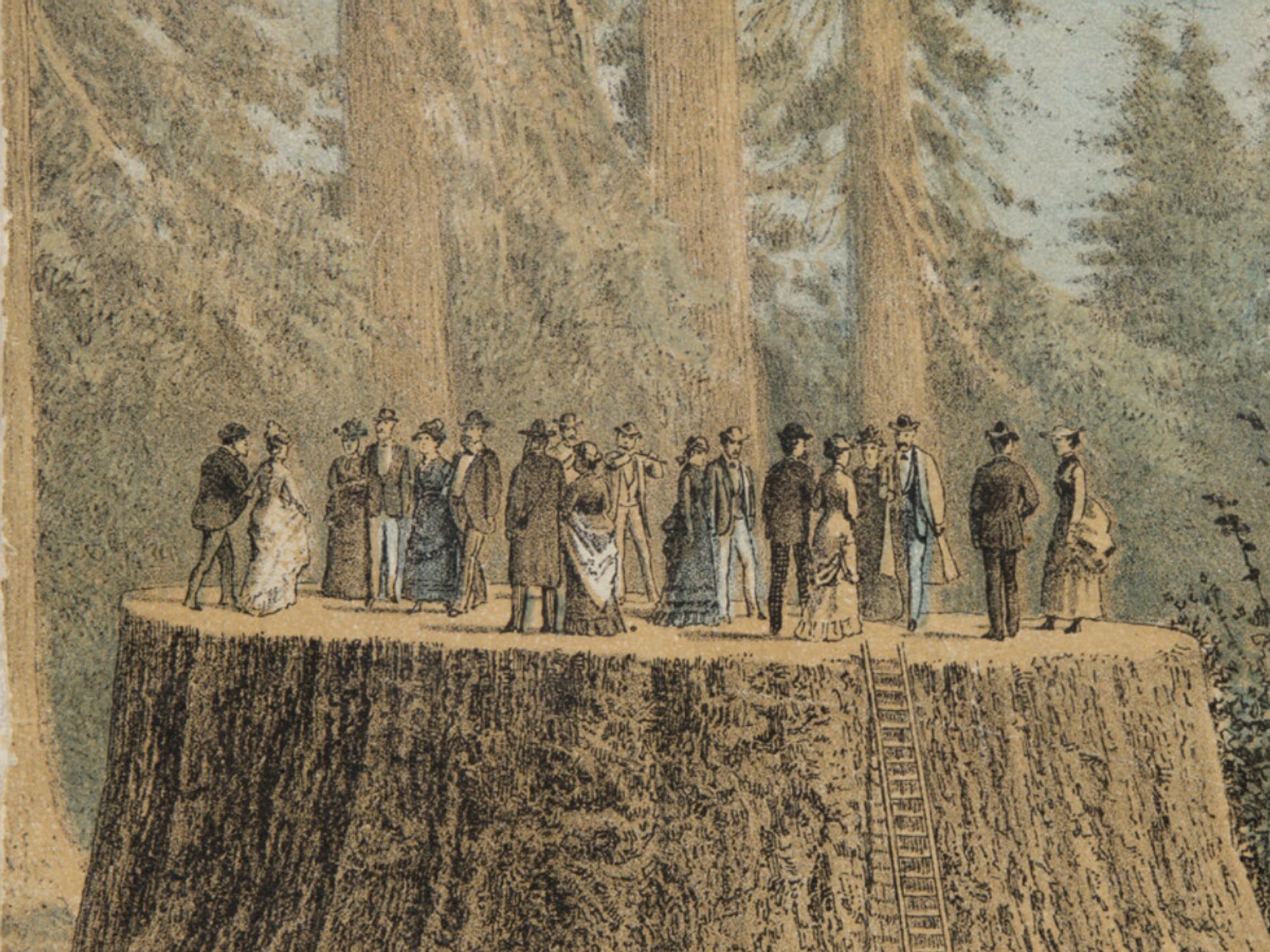 Printed Books & Early American Photography, including Selections from the Larry Ness Collection