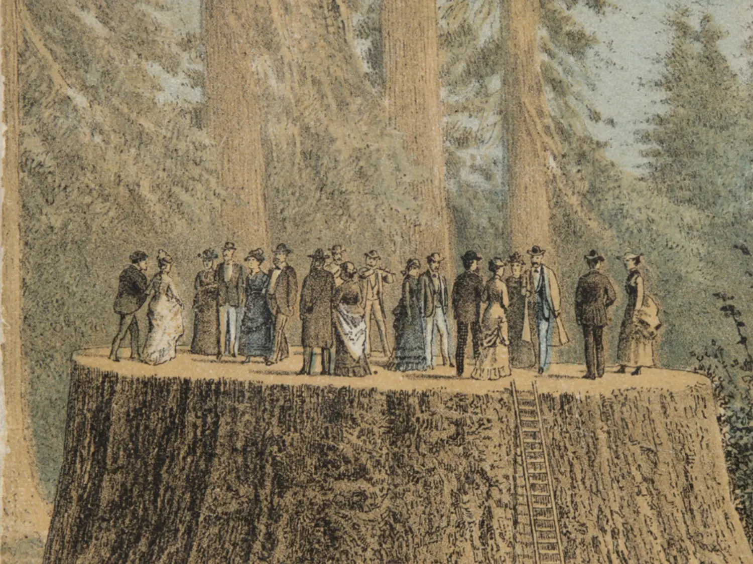 Printed Books & Early American Photography, including Selections