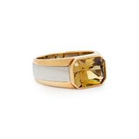 THOMAS LEYSER, MALI GARNET, YELLOW GOLD, AND PLATINUM RING